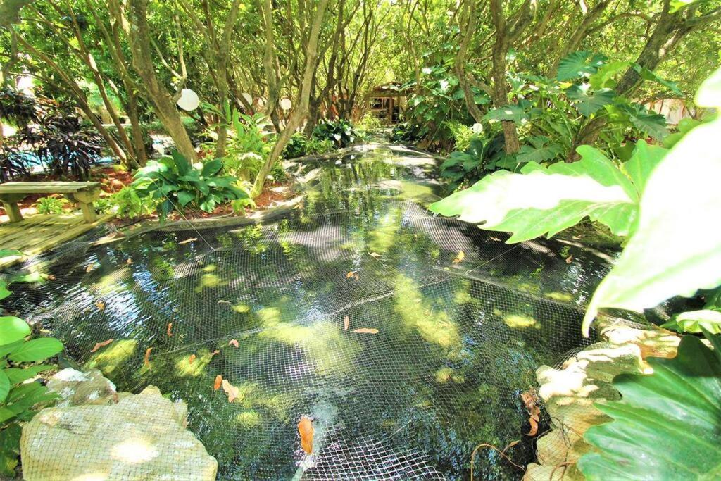 Magical Wonderkoi House In A Japanese Koi Garden Holiday home Miami
